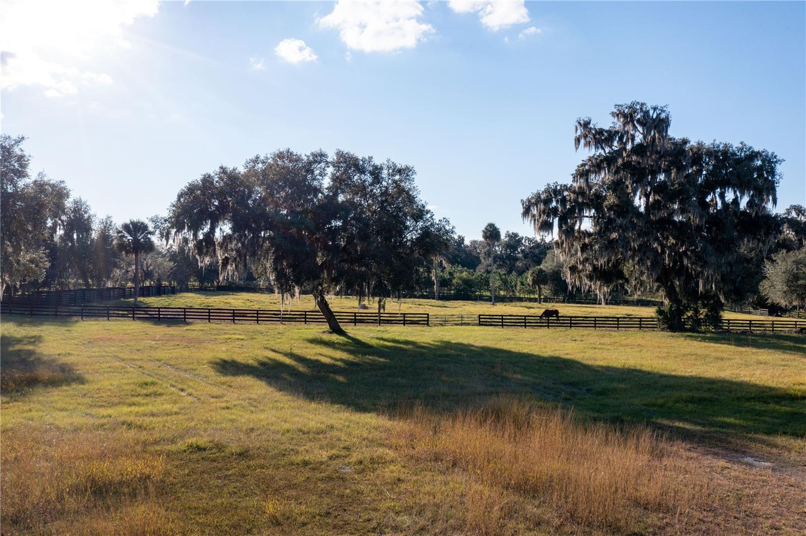 OM629721 Property Photo
