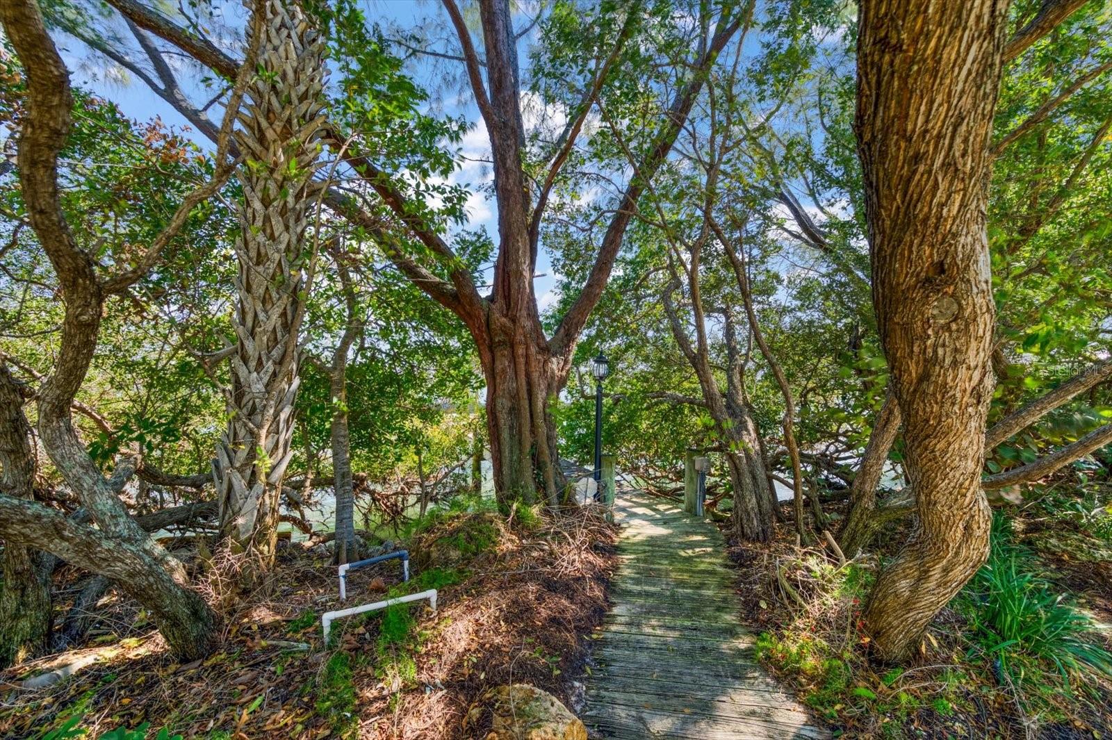 U8231430 Property Photo