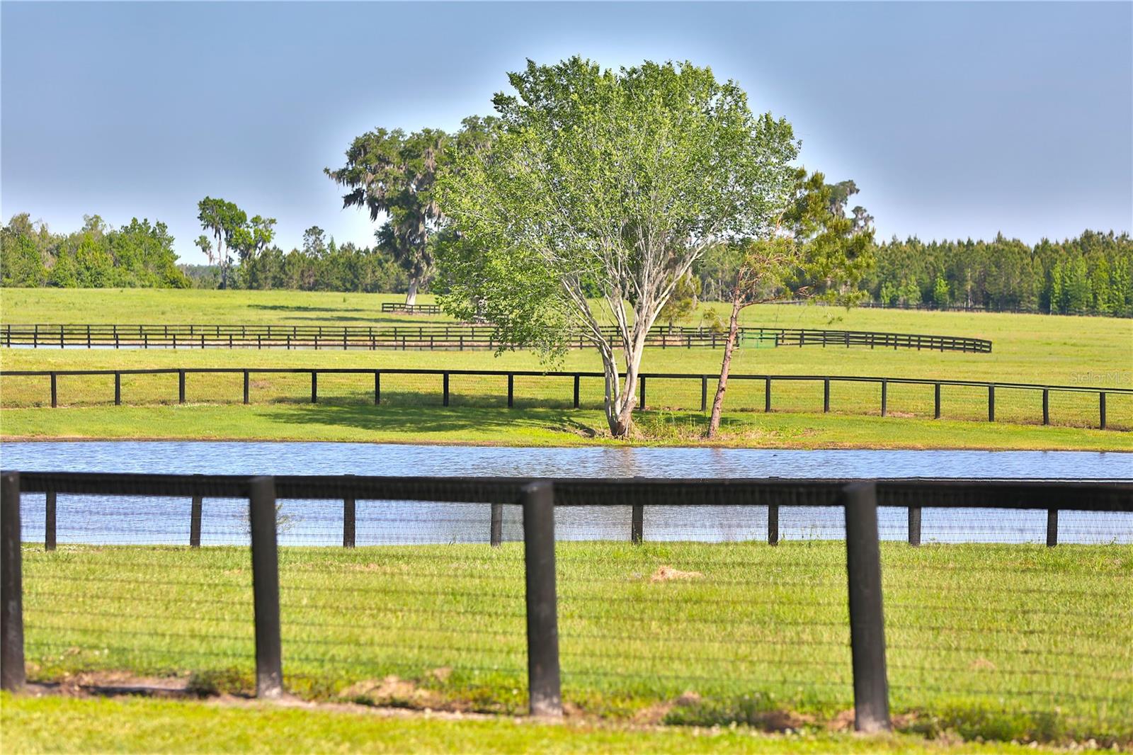 OM692794 Property Photo
