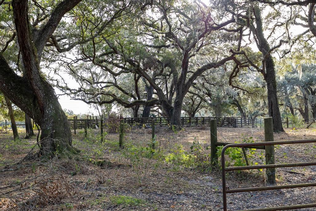 G5093805 Property Photo