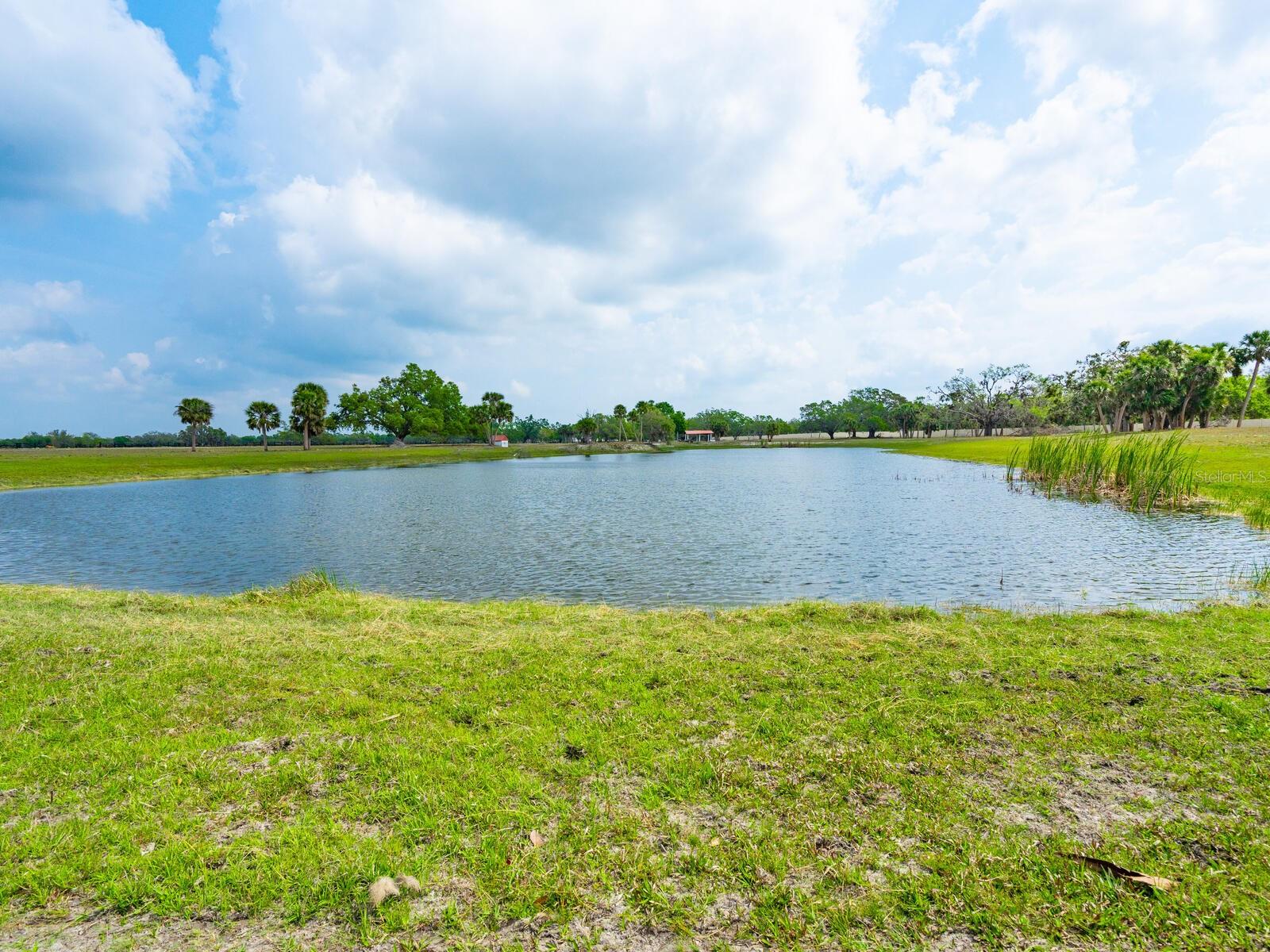 A4660187 Property Photo