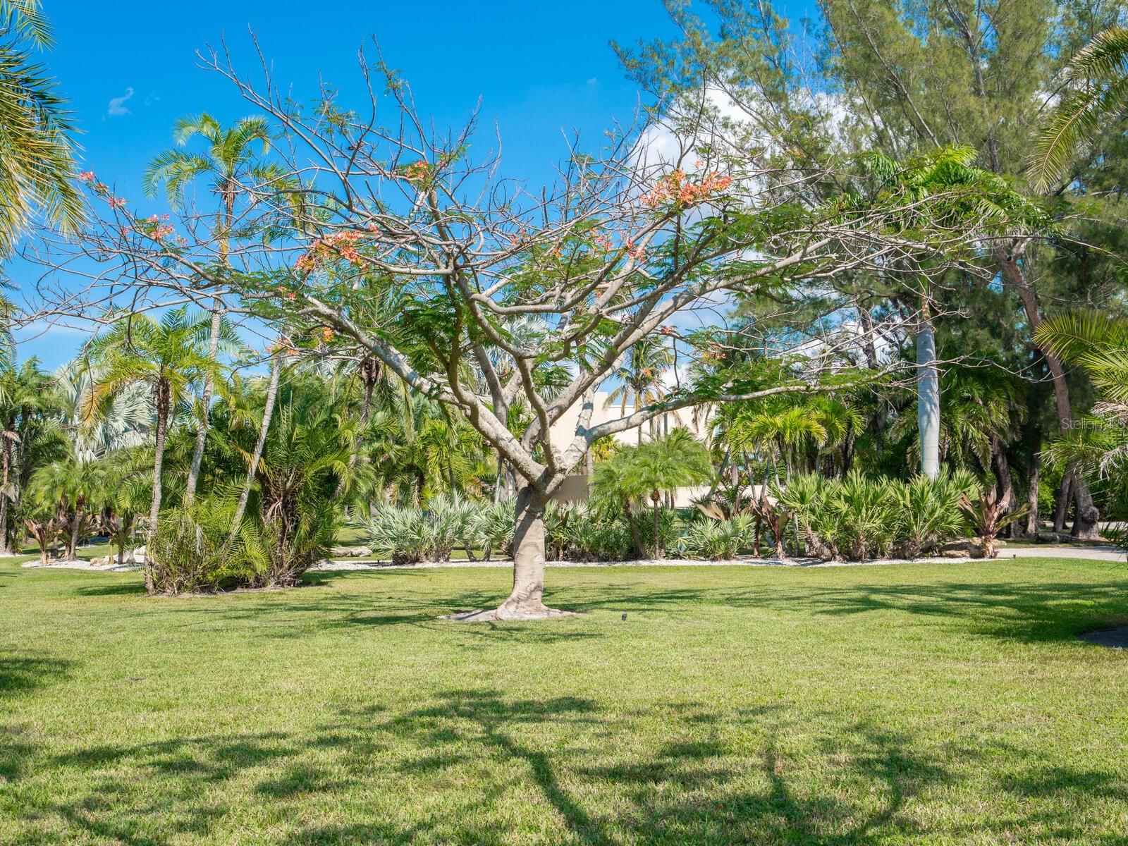 A4681242 Property Photo