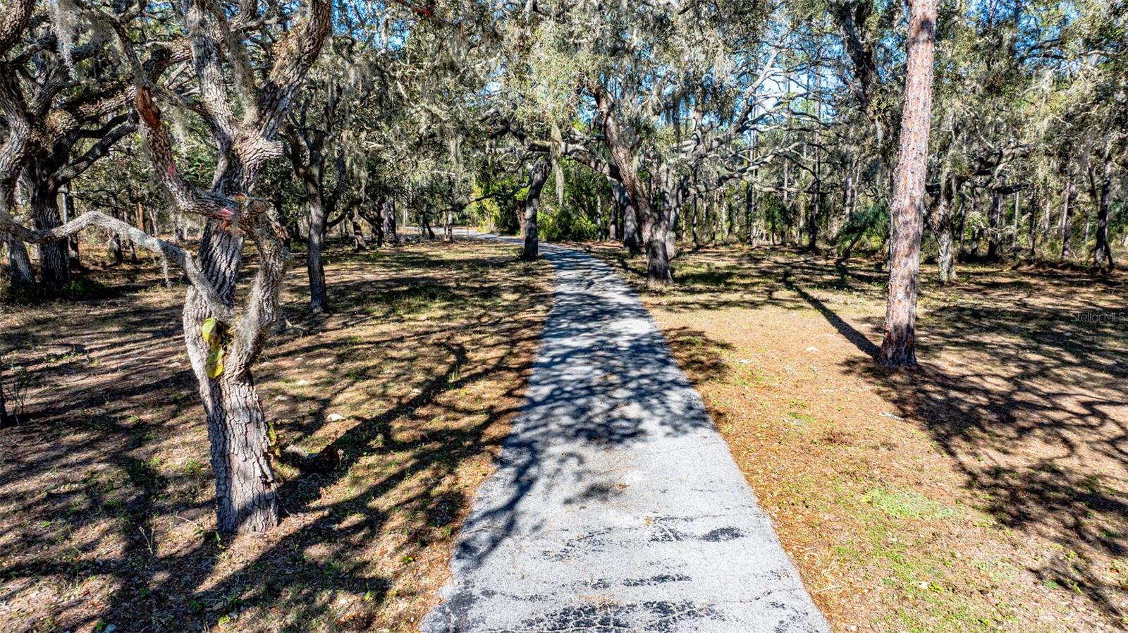 O6381472 Property Photo