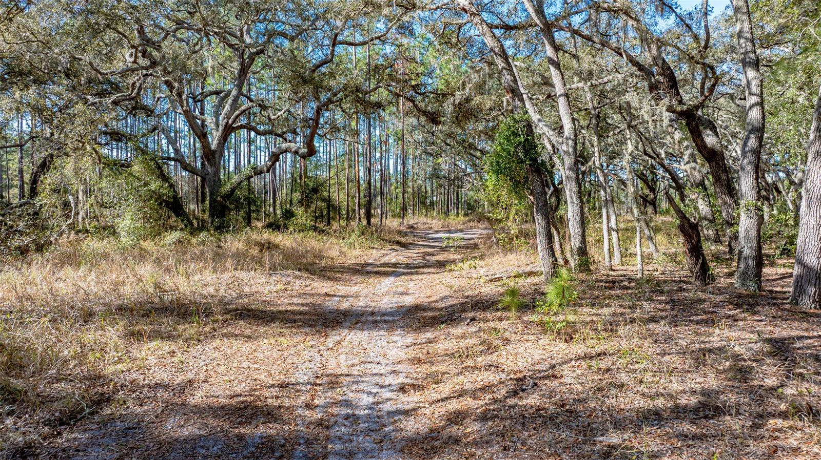 O6381472 Property Photo