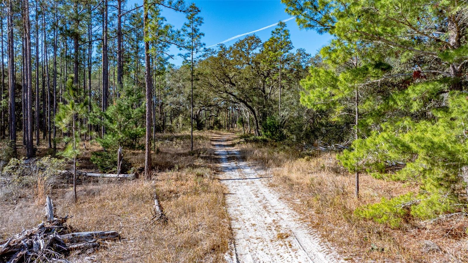 O6381472 Property Photo