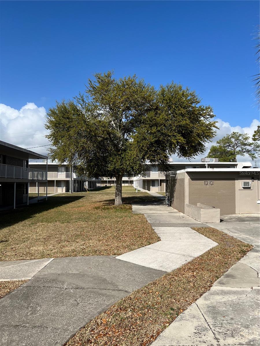 MLS# O6393249 Property Photo