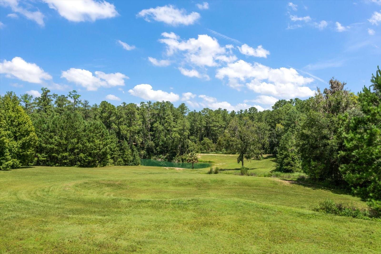 TB8494011 Property Photo