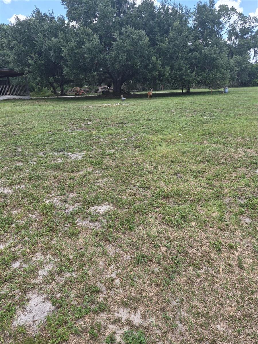 A4690434 Property Photo