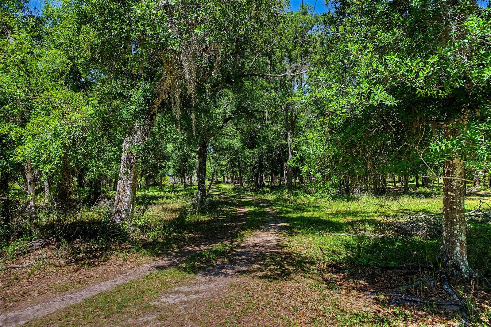 A4690434 Property Photo
