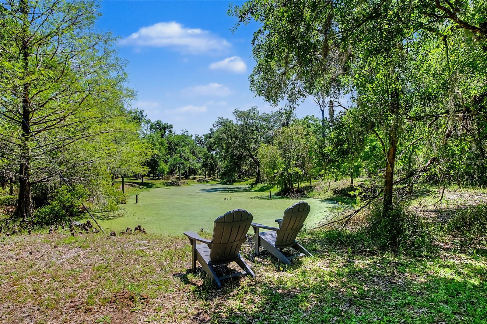 A4690434 Property Photo
