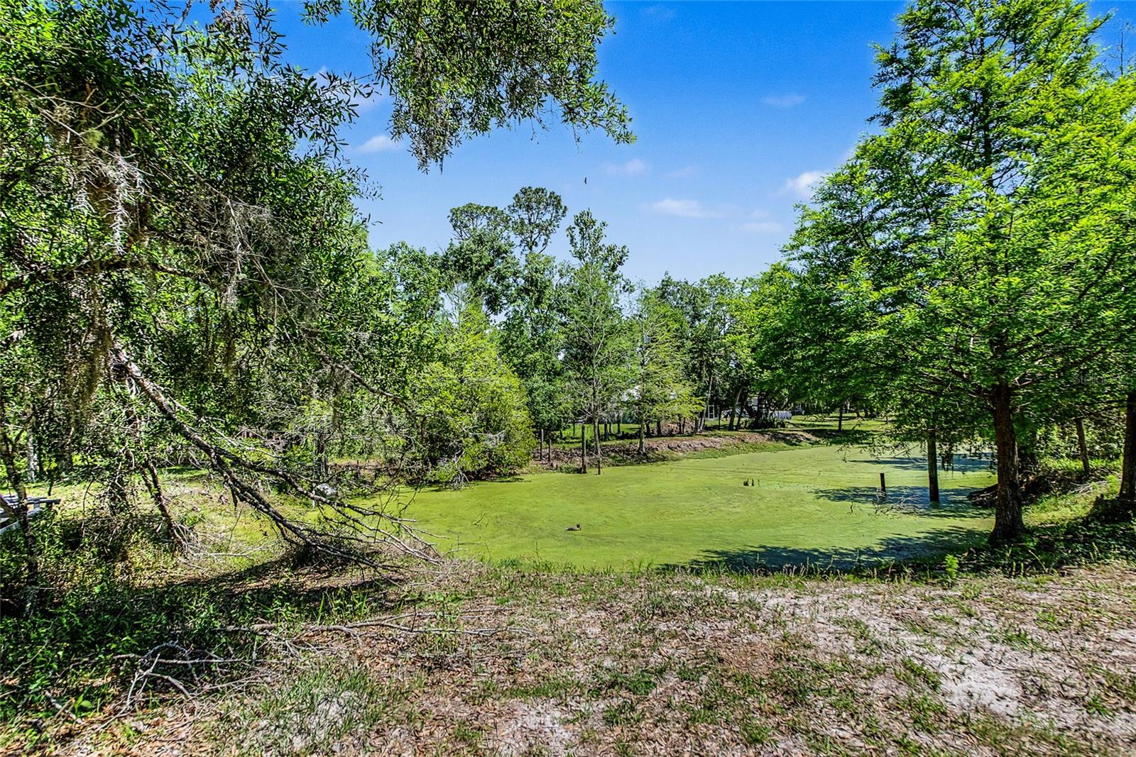 A4690434 Property Photo