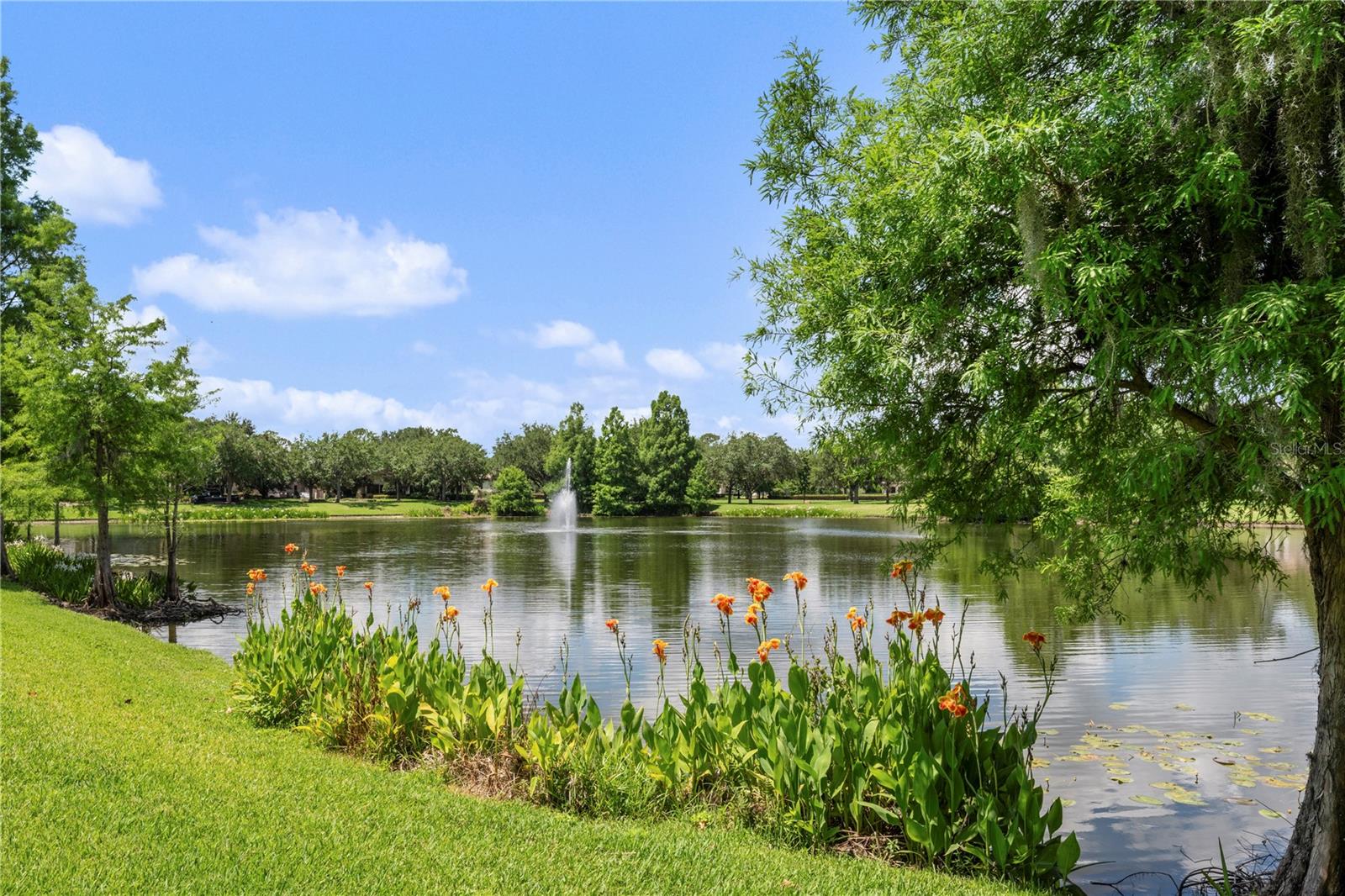 O6404415 Property Photo