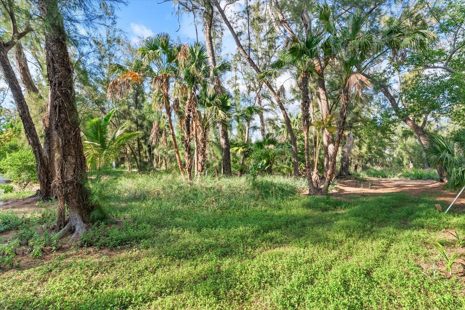 A4694196 Property Photo