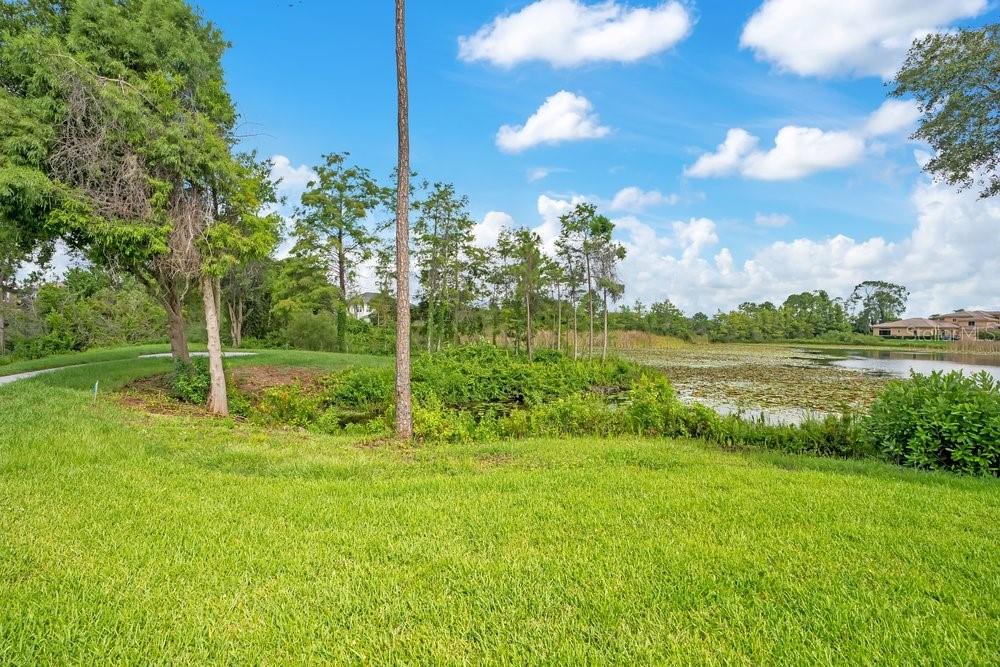 O6422852 Property Photo