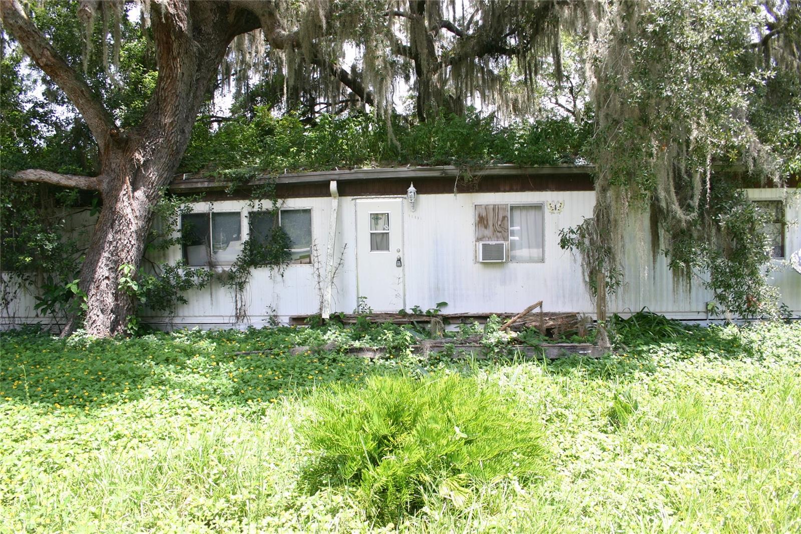 MLS# O6431649 Property Photo