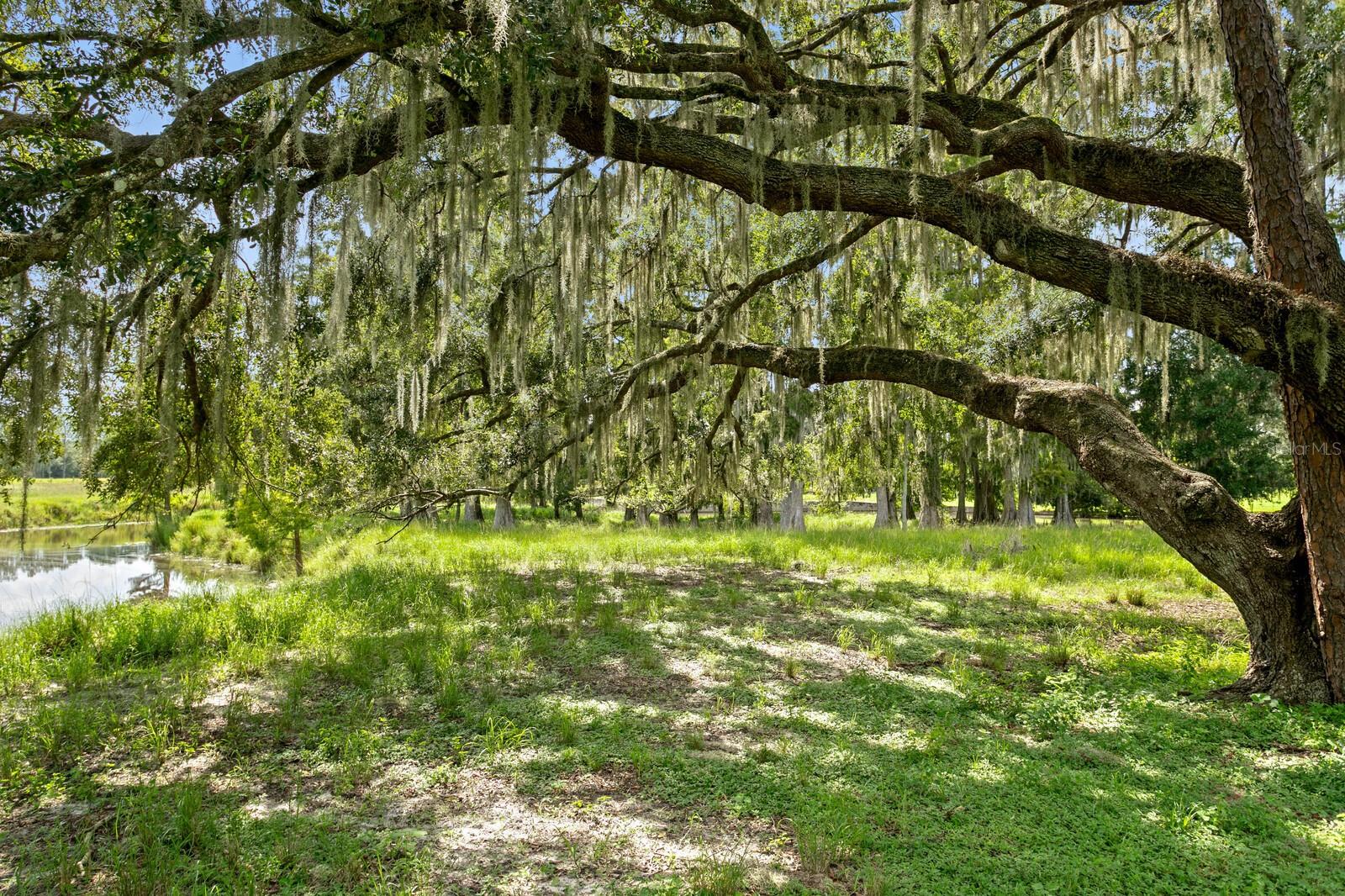 TB8539371 Property Photo