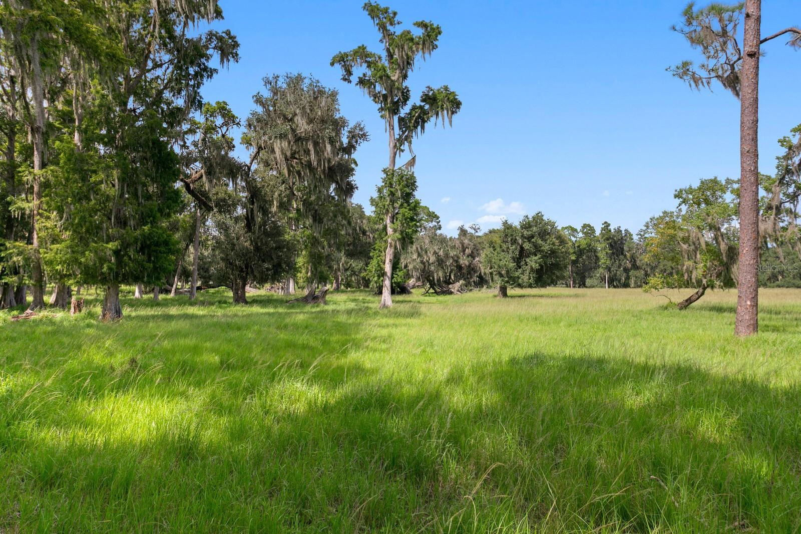 TB8539371 Property Photo