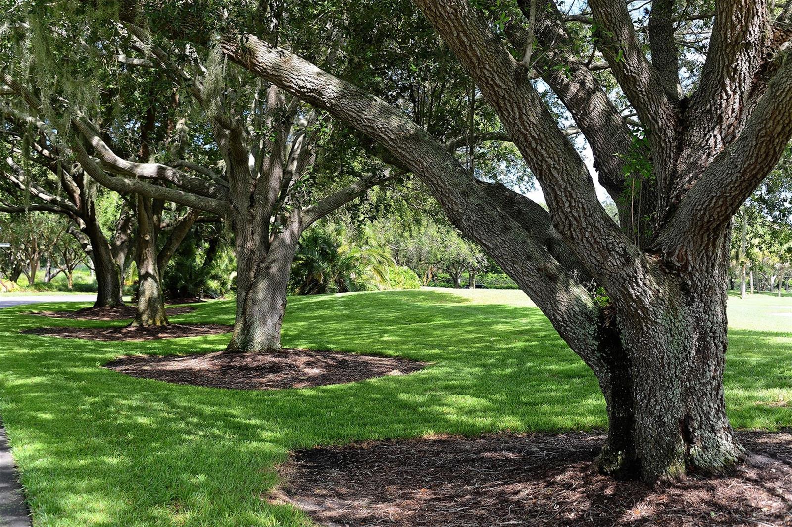 A4705572 Property Photo