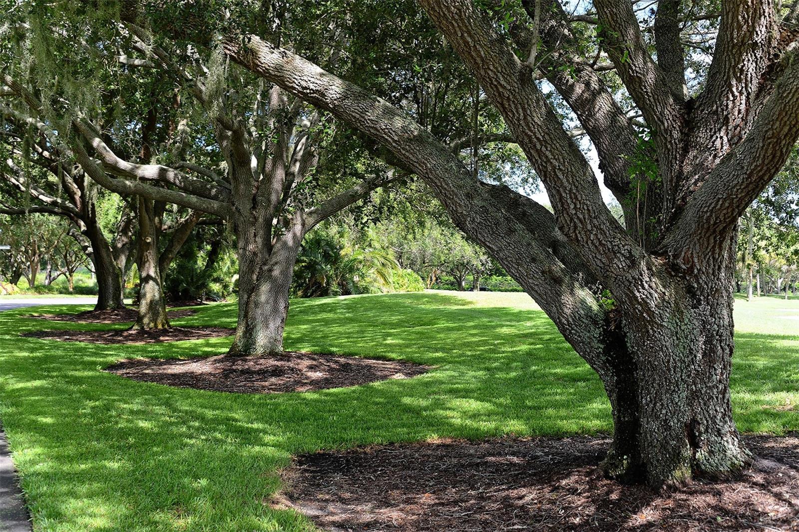 A4706228 Property Photo