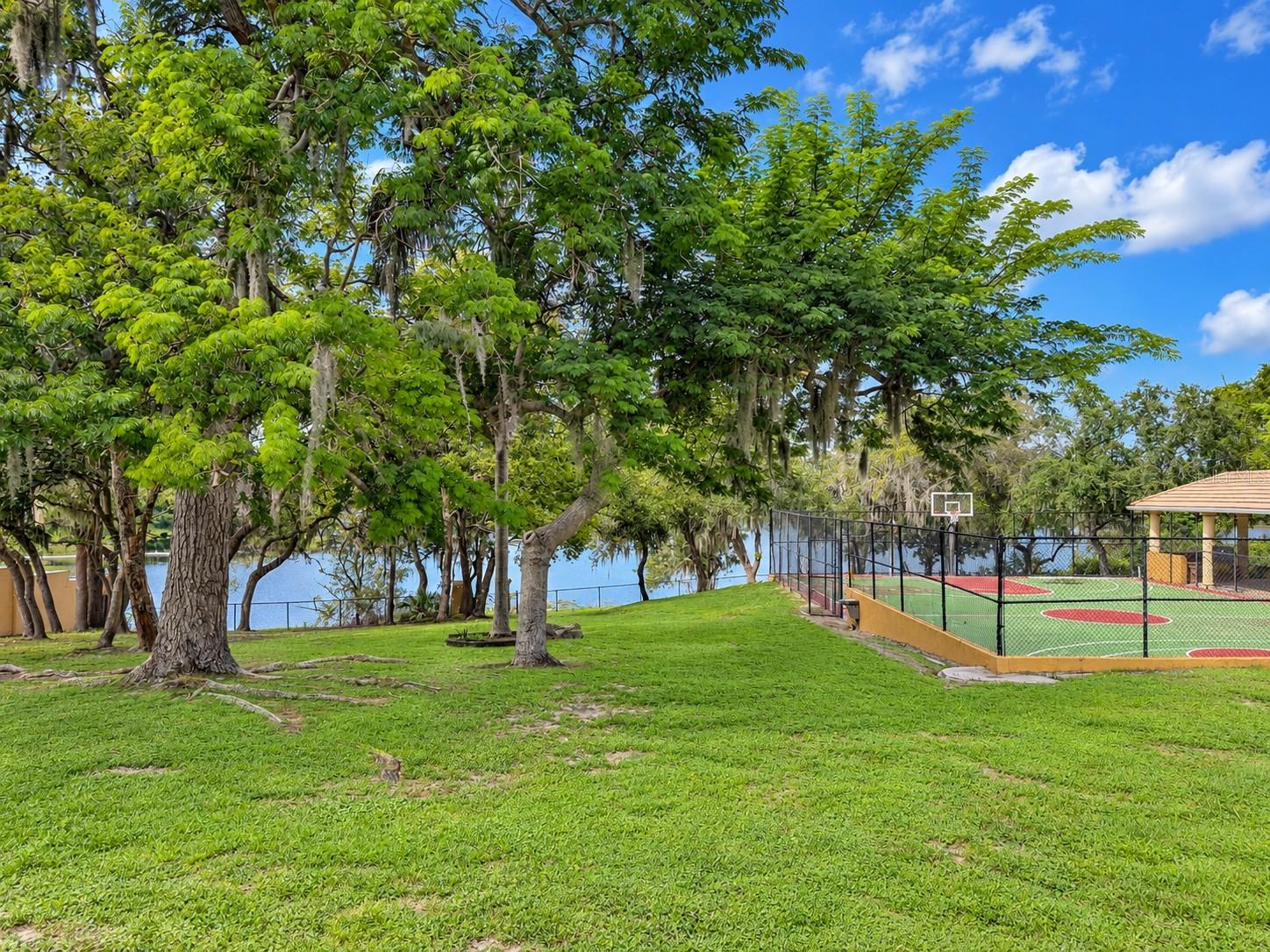 O6445436 Property Photo