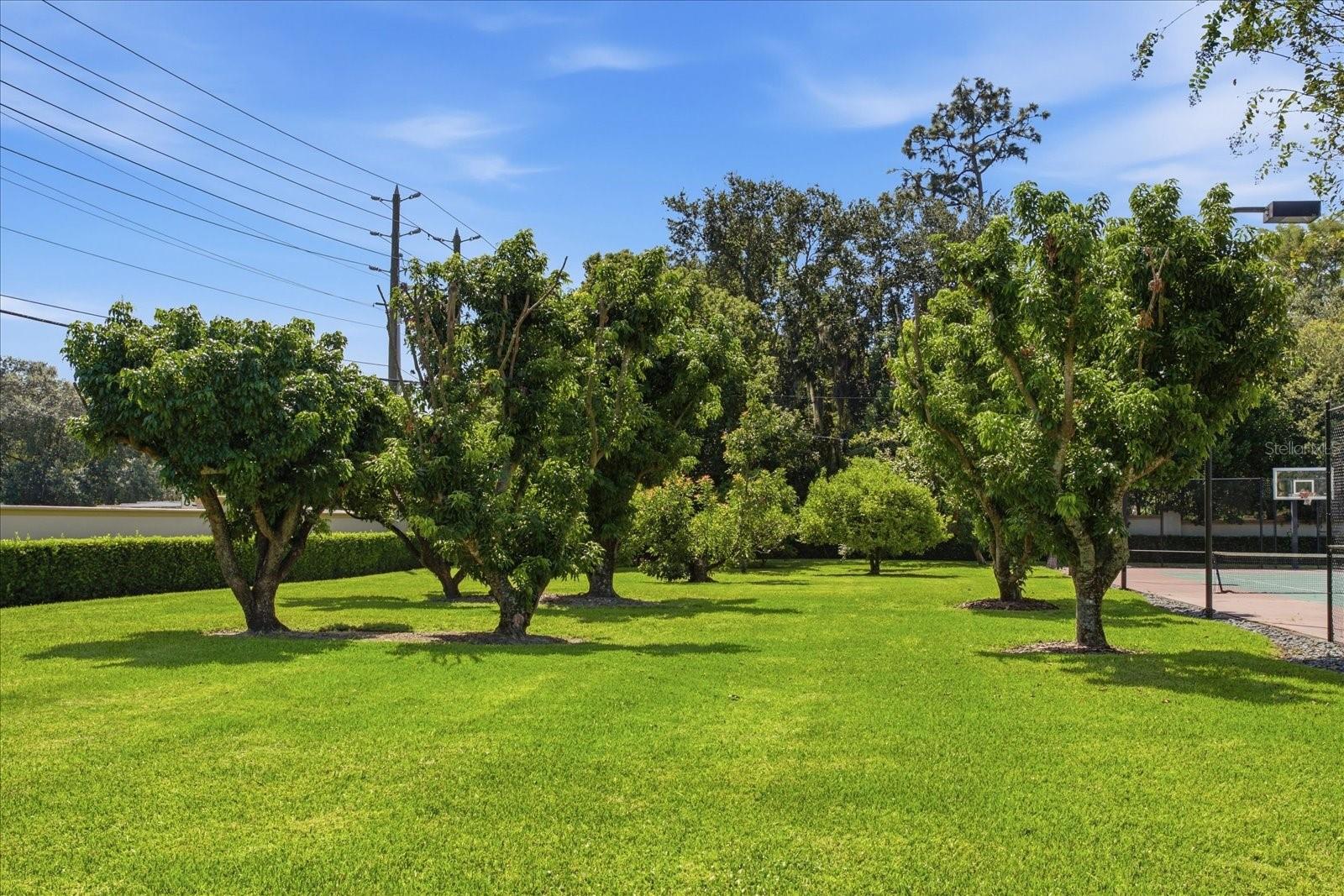 O6447990 Property Photo