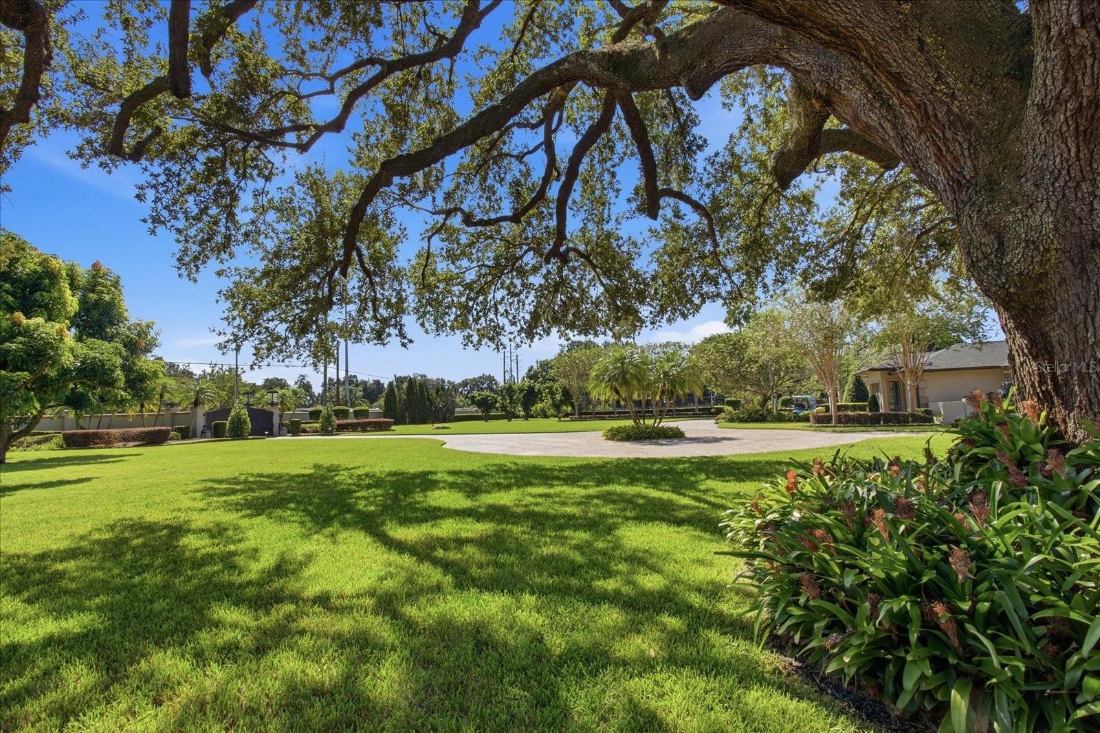 O6447990 Property Photo