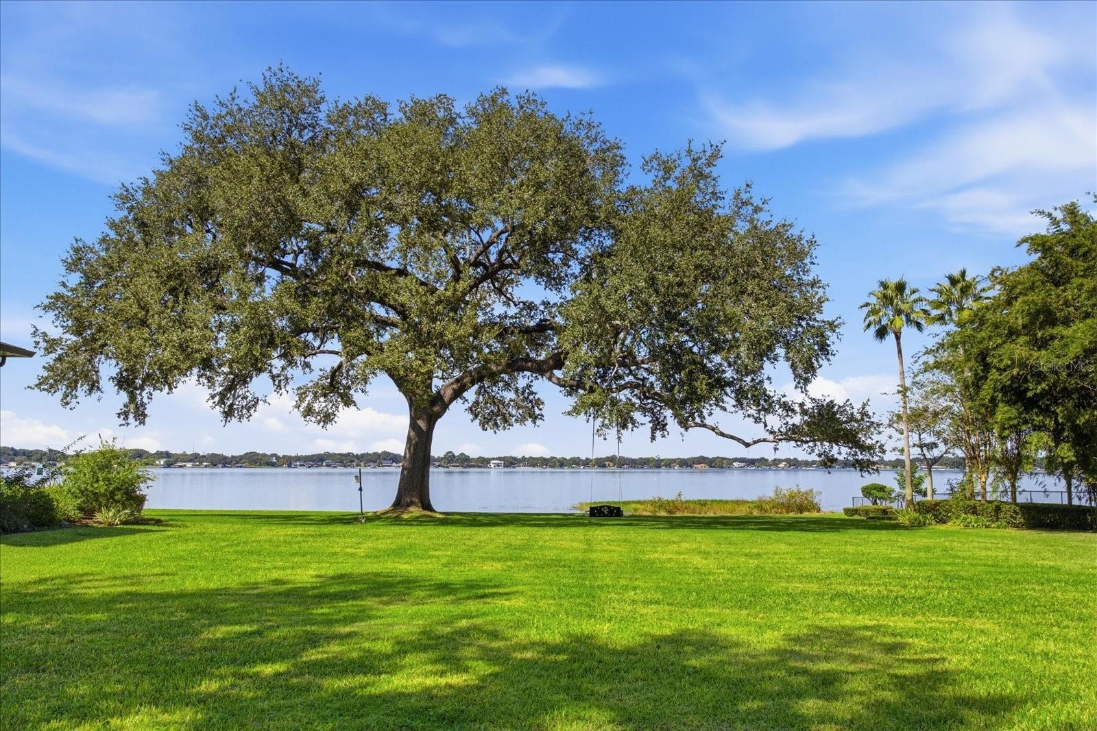 O6447990 Property Photo