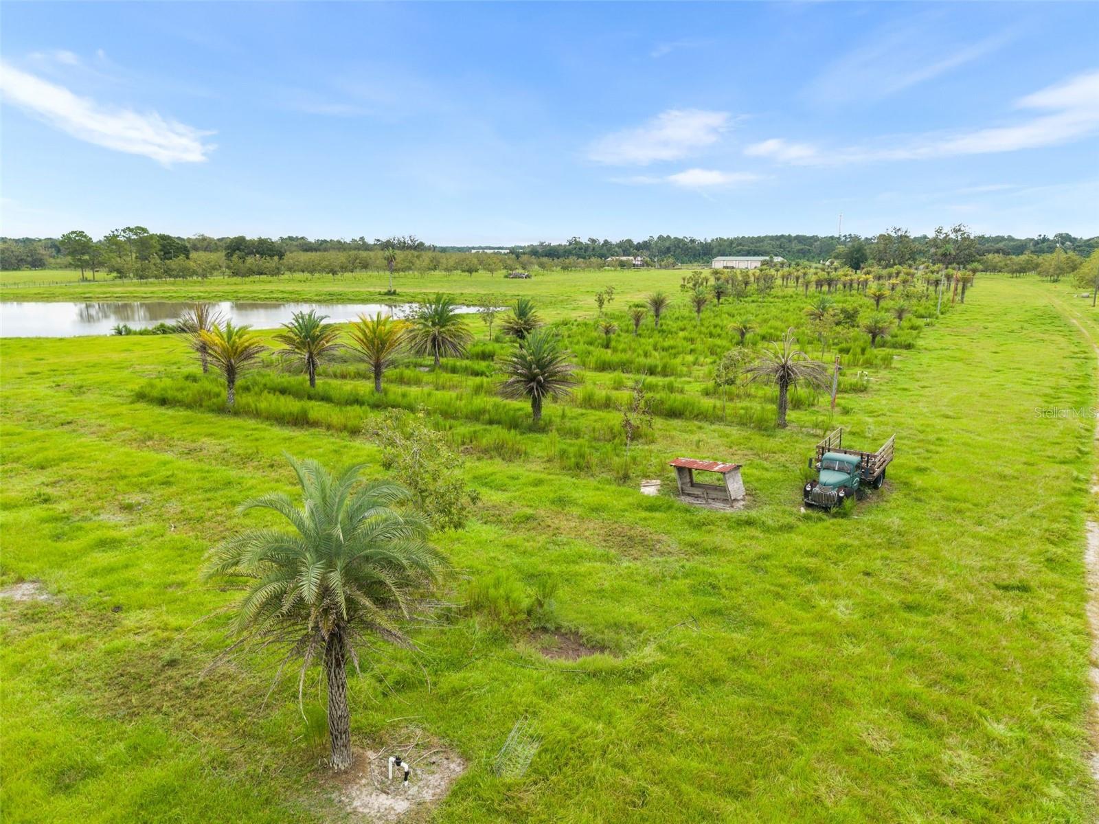 GC544089 Property Photo