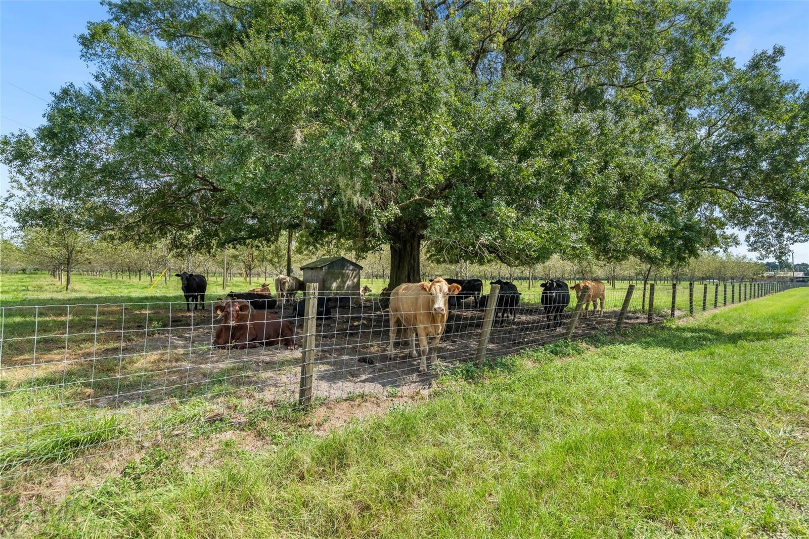 GC544089 Property Photo