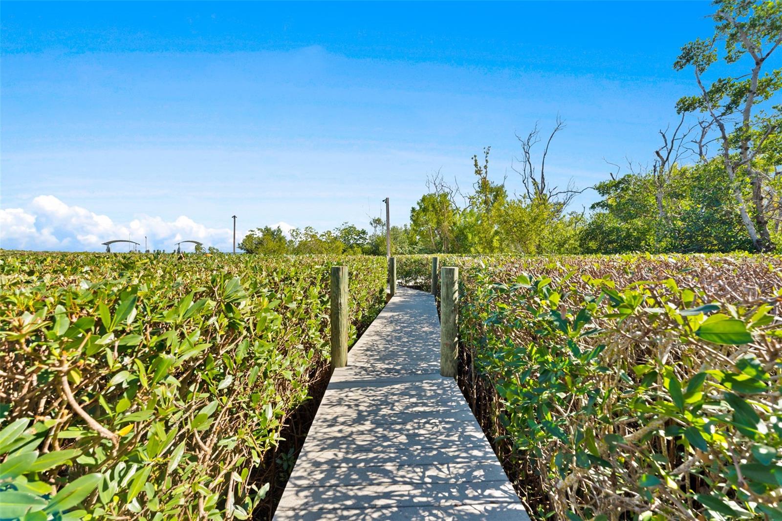TB8557587 Property Photo
