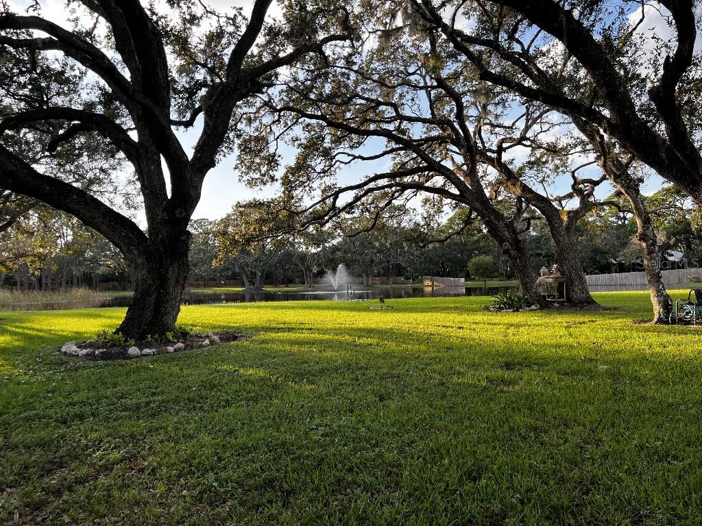 TB8557617 Property Photo